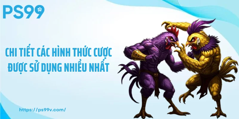 Chi tiết các hình thức cược được sử dụng nhiều nhất