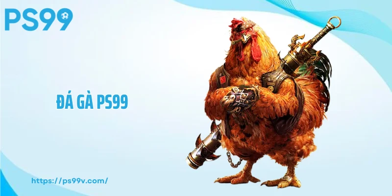 Đá Gà PS99 – Sân Chơi Chuyên Nghiệp Và Đẳng Cấp #1 Việt Nam
