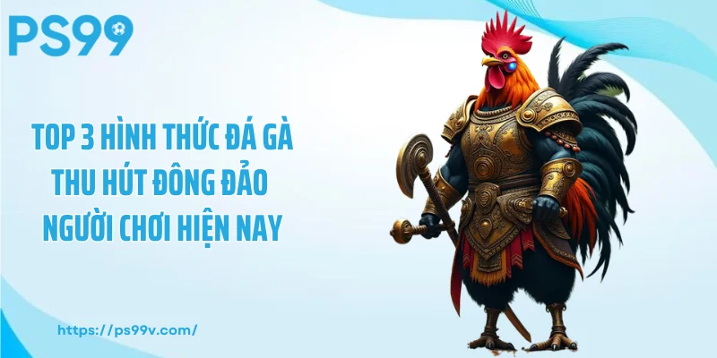 Top 3 hình thức đá gà thu hút đông đảo người chơi hiện nay
